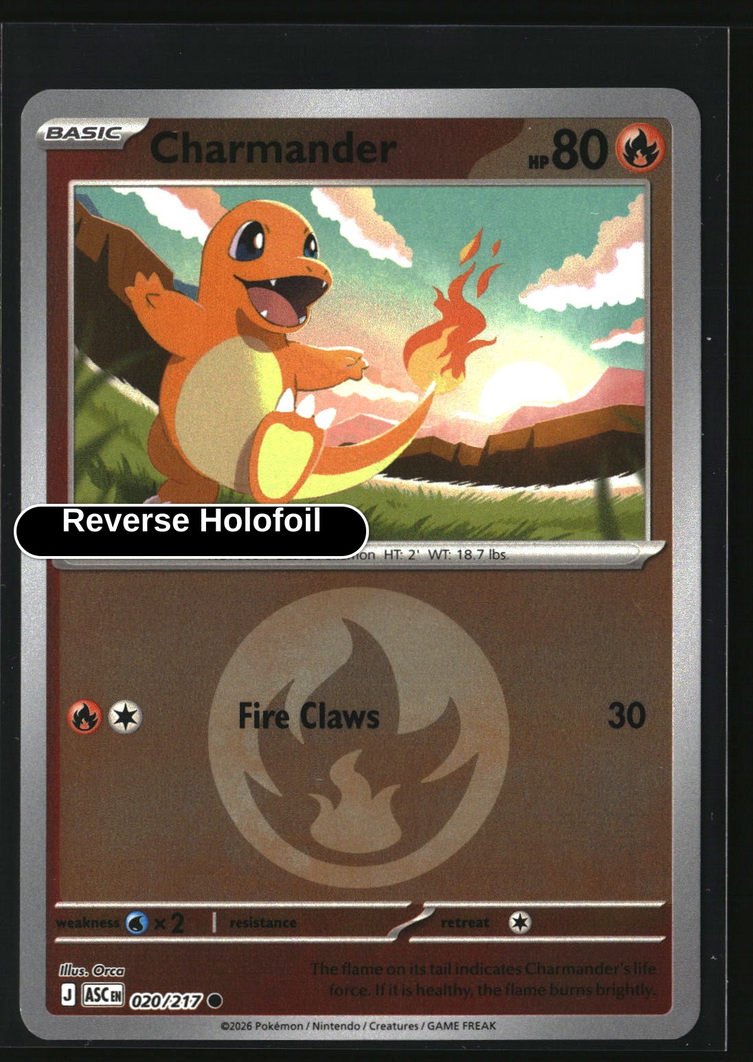 Charmander (Energy Symbol Pattern)