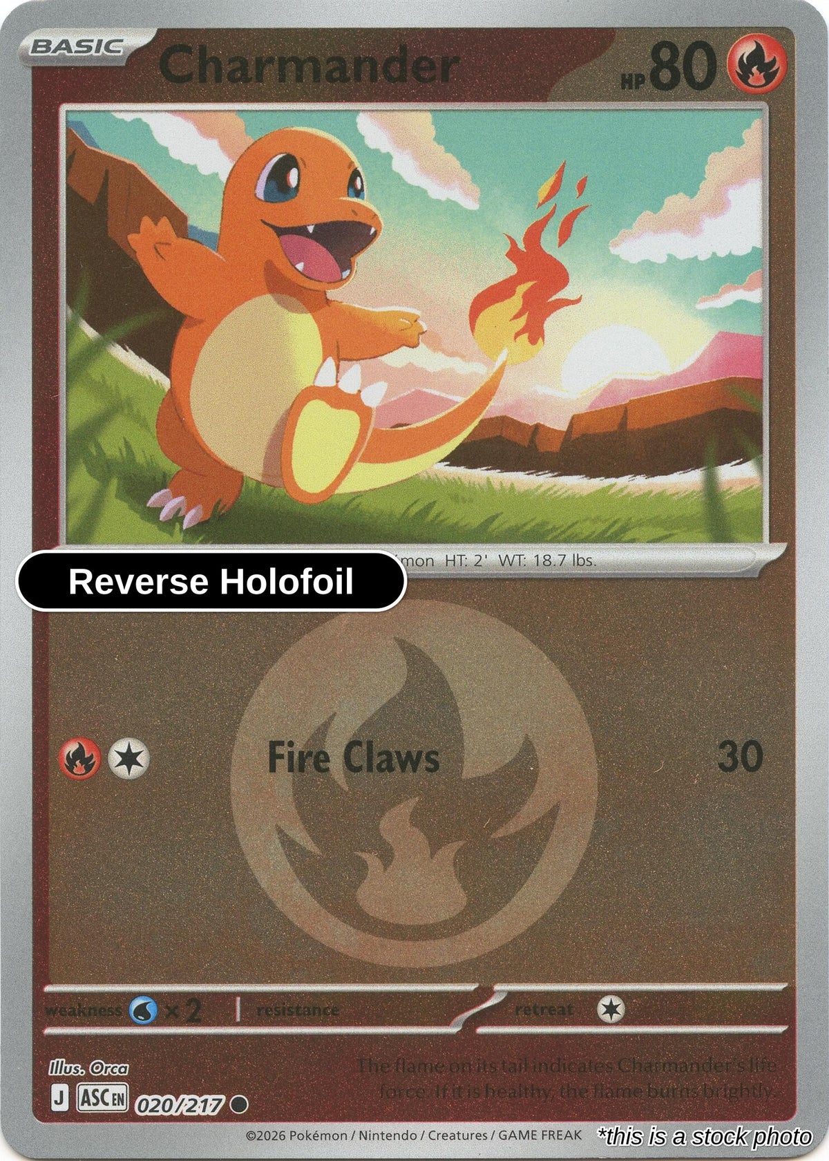 Charmander (Energy Symbol Pattern)