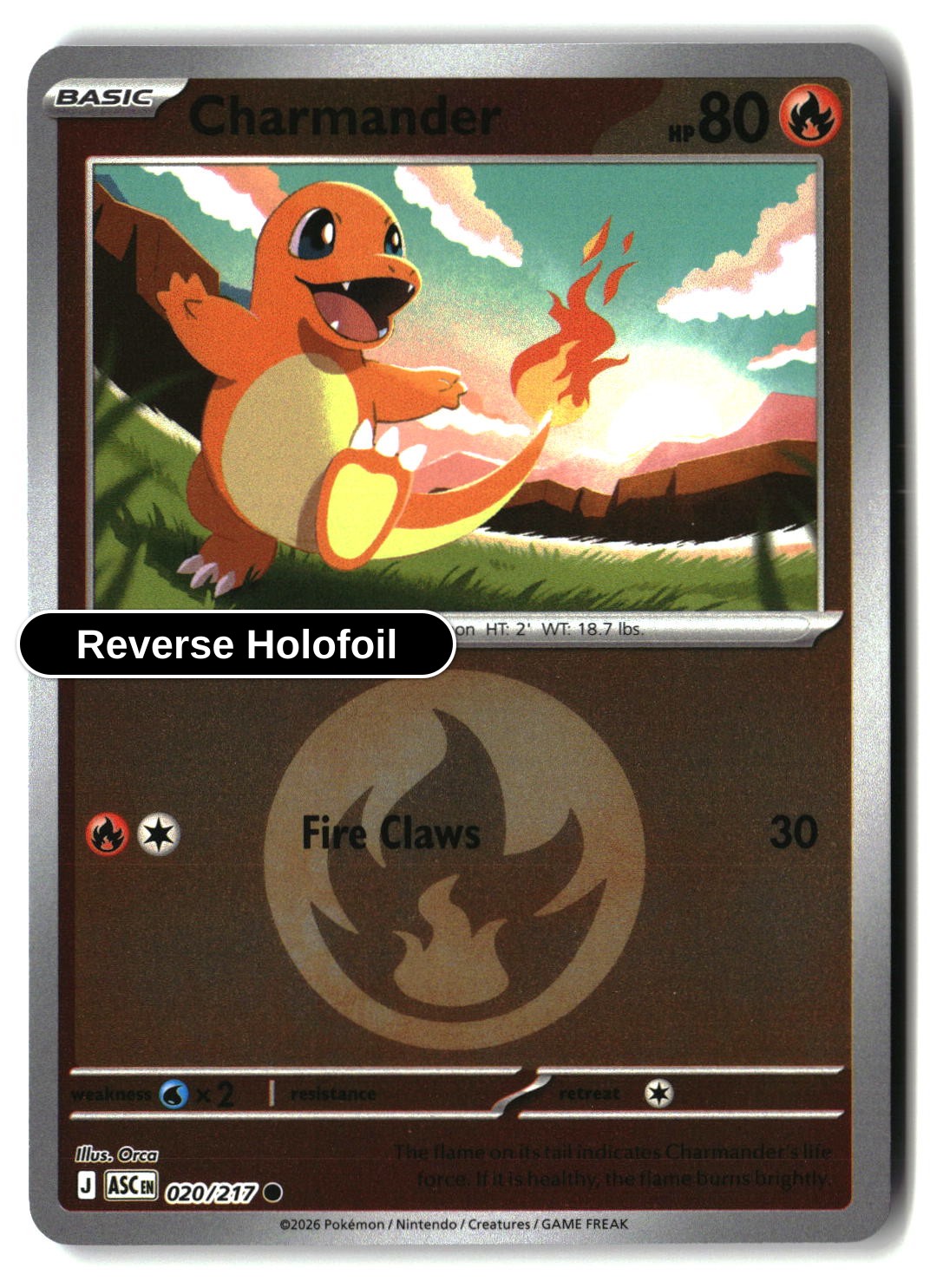 Charmander (Energy Symbol Pattern)