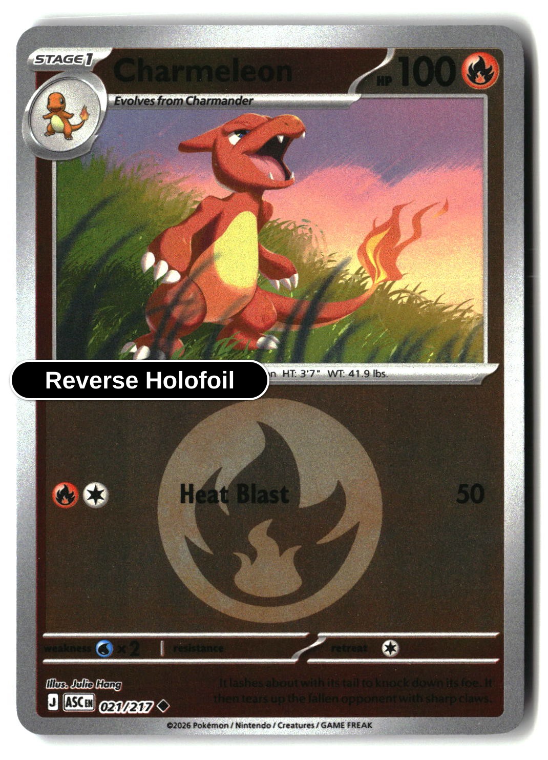 Charmeleon (Energy Symbol Pattern)