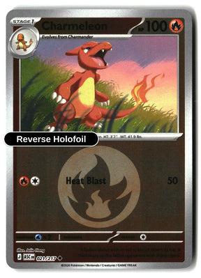 Charmeleon (Energy Symbol Pattern)