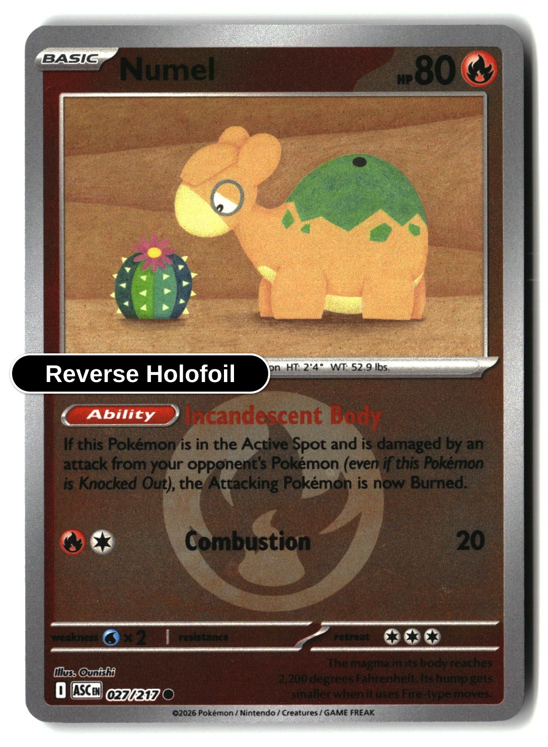 Numel - 027/217 (Energy Symbol Pattern)