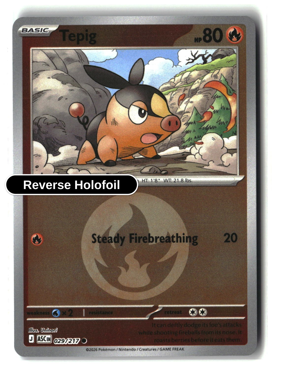 Tepig (Energy Symbol Pattern)