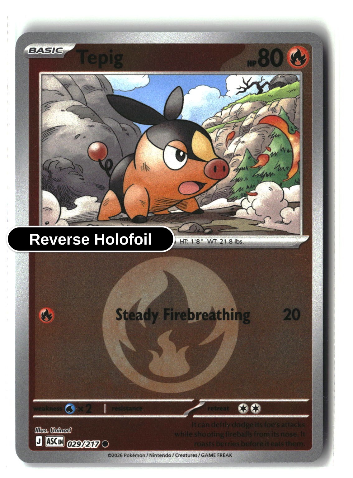 Tepig (Energy Symbol Pattern)