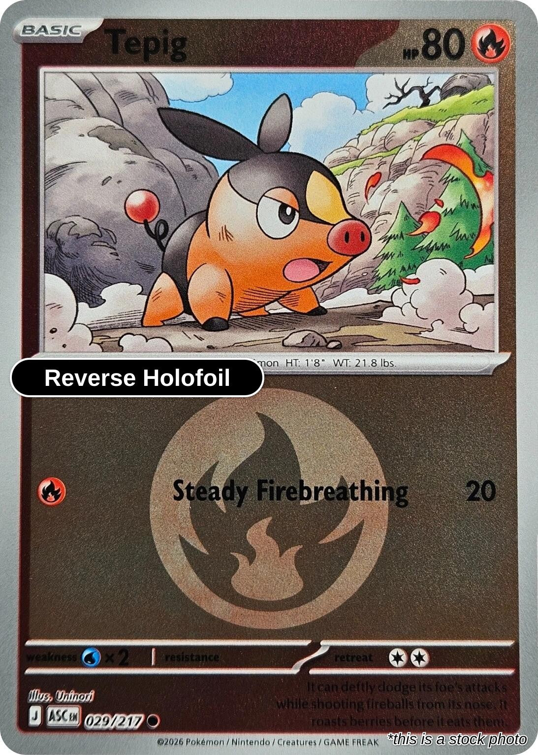 Tepig (Energy Symbol Pattern)