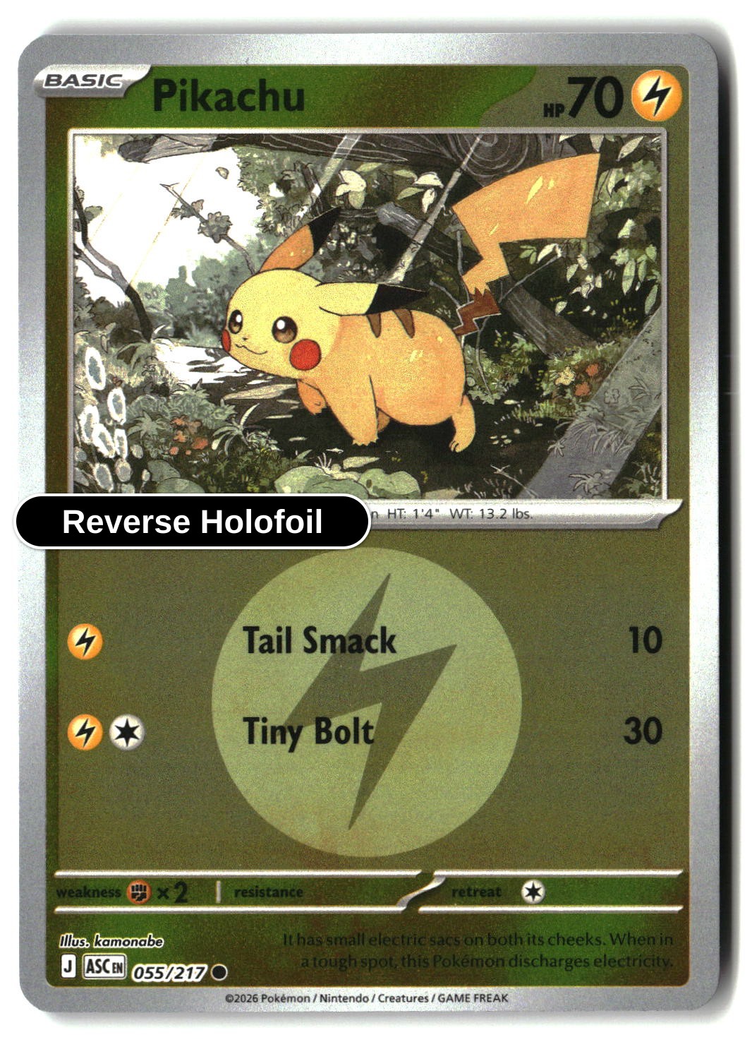 Pikachu (Energy Symbol Pattern)