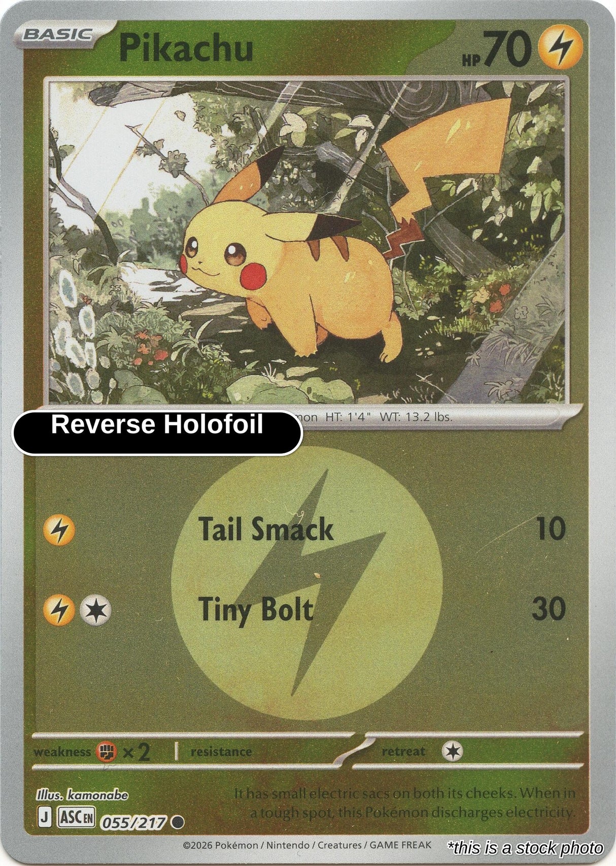 Pikachu (Energy Symbol Pattern)