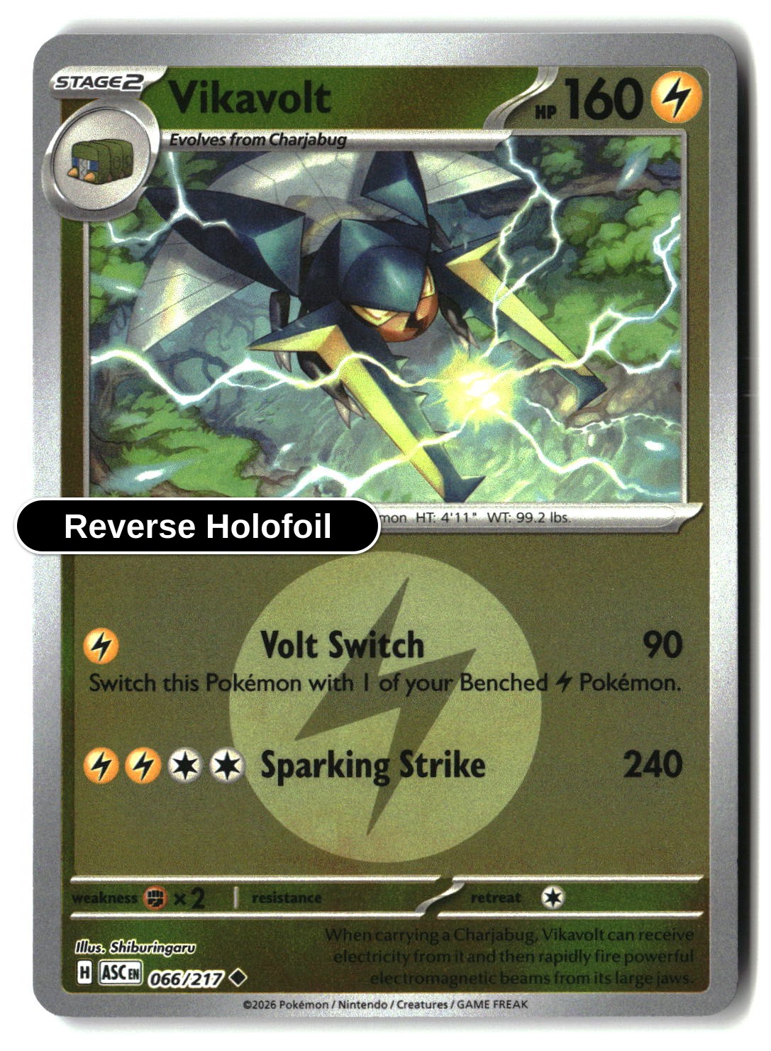 Vikavolt - 066/217 (Energy Symbol Pattern)