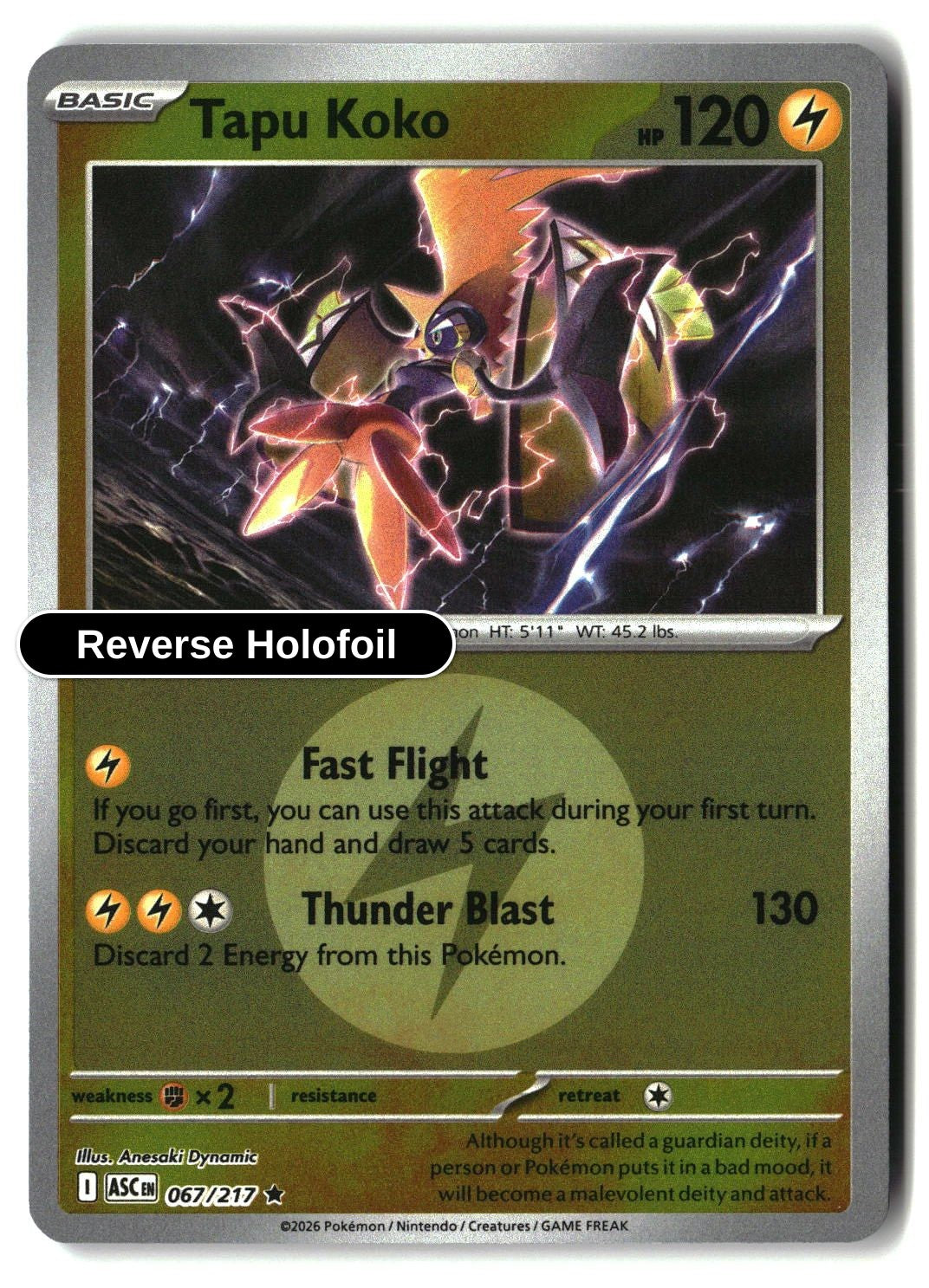 Tapu Koko (Energy Symbol Pattern)