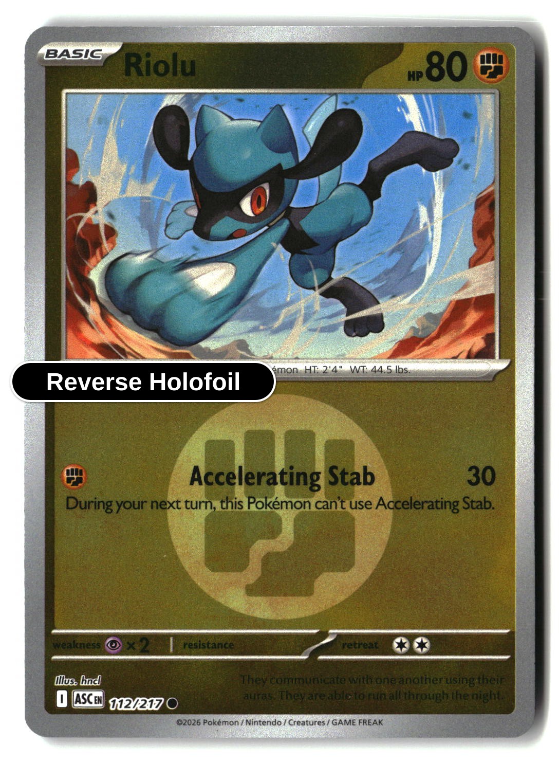 Riolu (Energy Symbol Pattern)