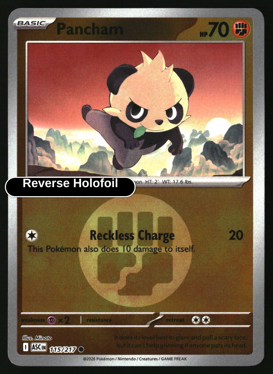 Pancham (Energy Symbol Pattern)