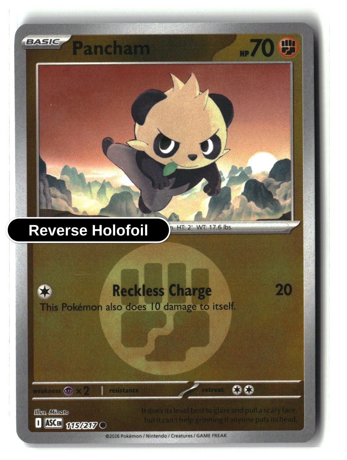 Pancham (Energy Symbol Pattern)