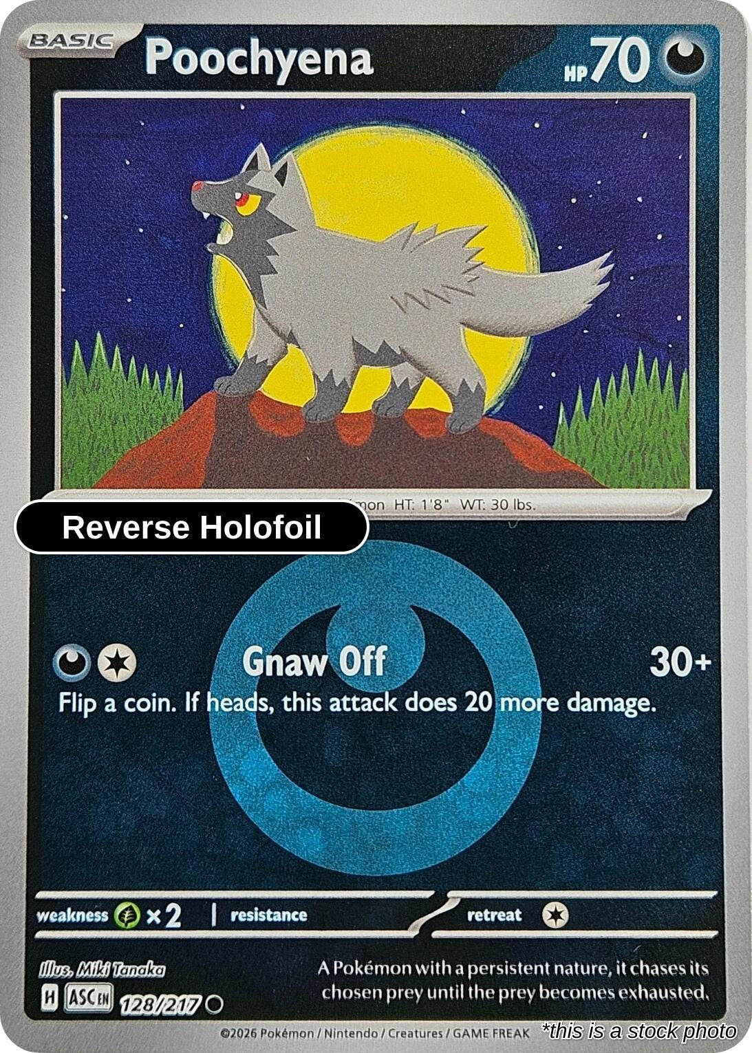 Poochyena (Energy Symbol Pattern)