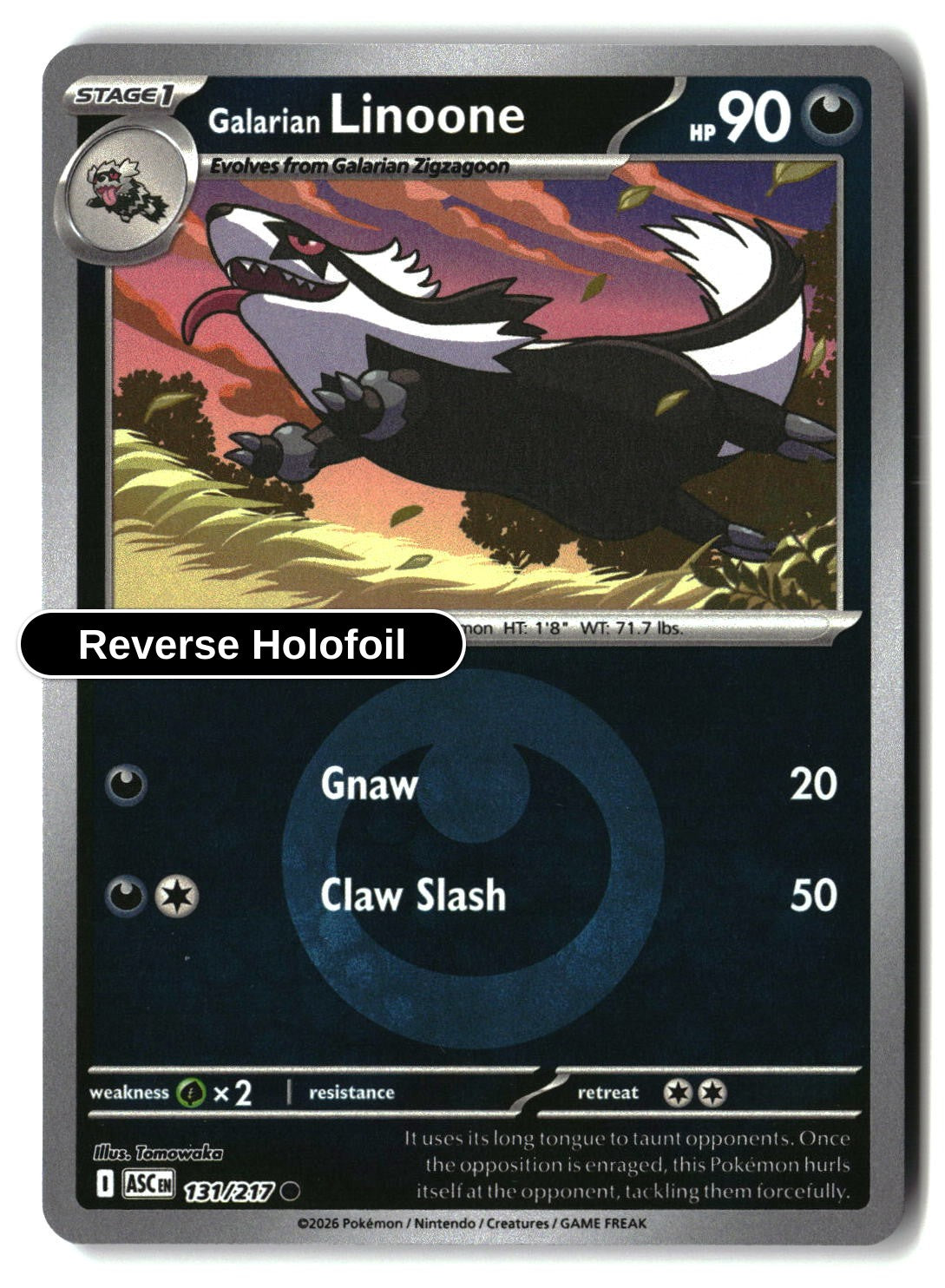 Galarian Linoone (Energy Symbol Pattern)