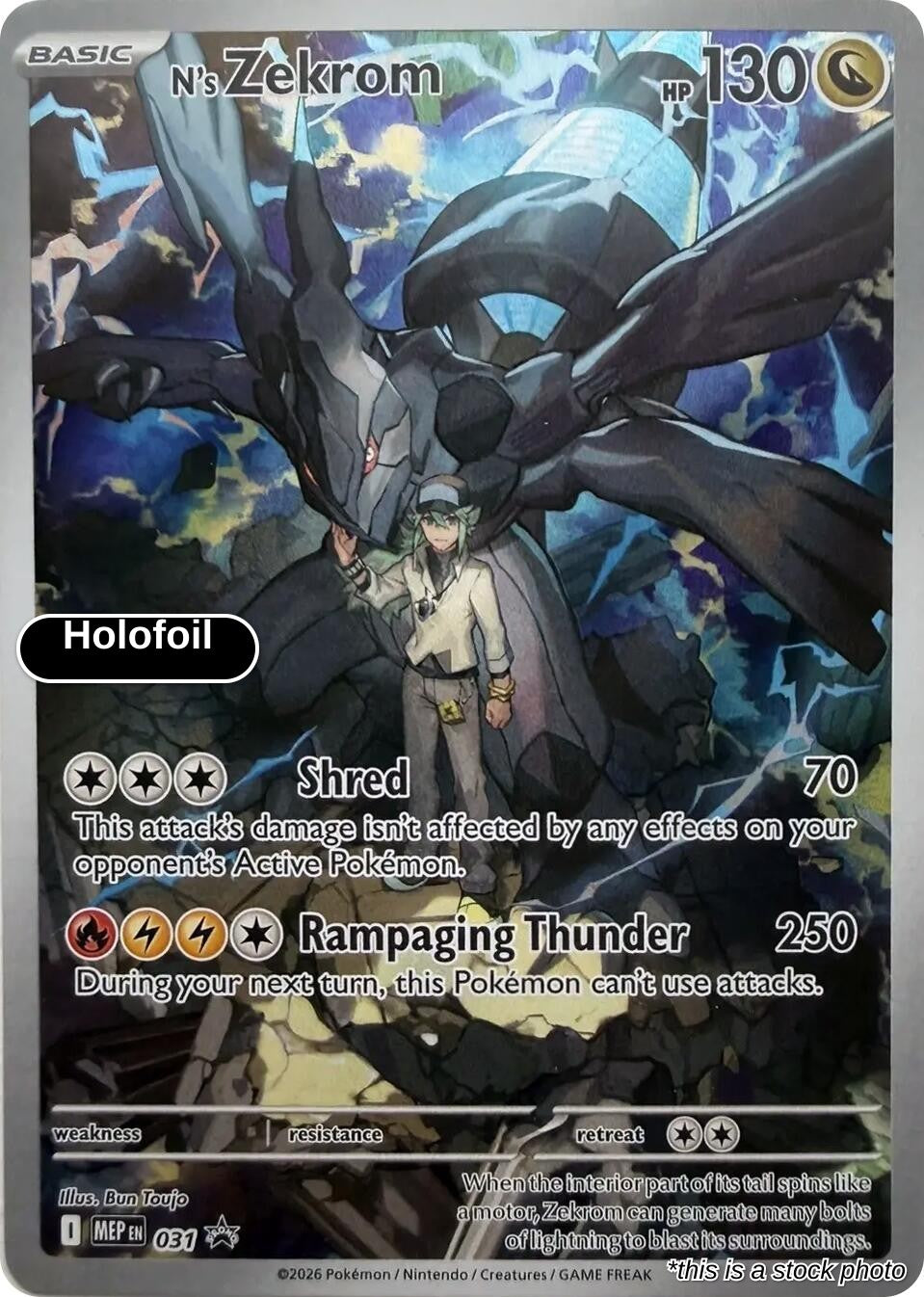 N's Zekrom - 031