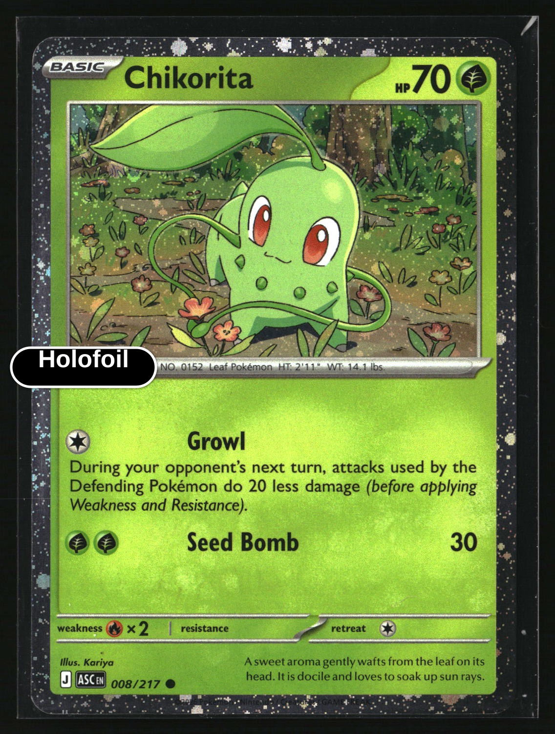 Chikorita (Cosmos Holo)