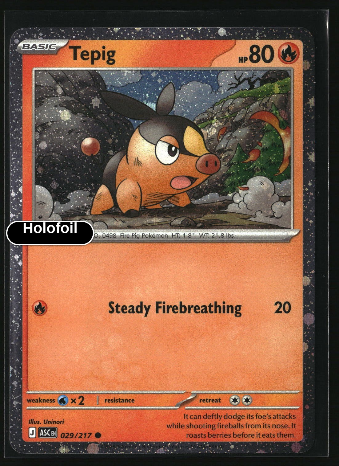 Tepig - 029/217 (Cosmos Holo)