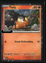 Tepig - 029/217 (Cosmos Holo)