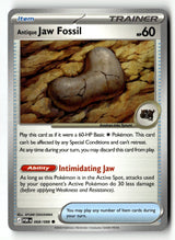 Antique Jaw Fossil - 068/088 - [POR - ME03: Perfect Order]