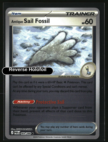 Antique Sail Fossil