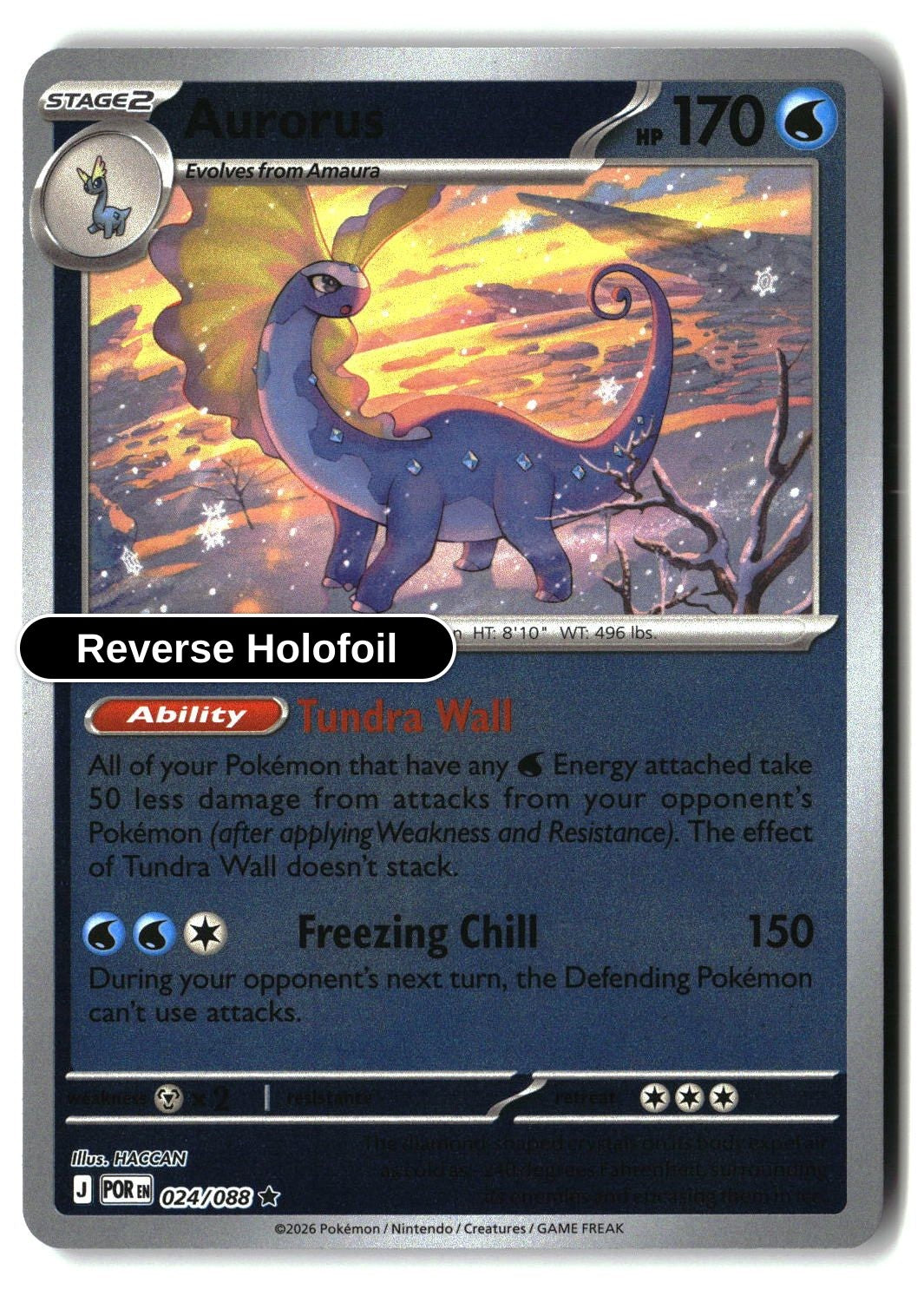 Aurorus - 024/088 - [POR - ME03: Perfect Order] - Reverse Holofoil