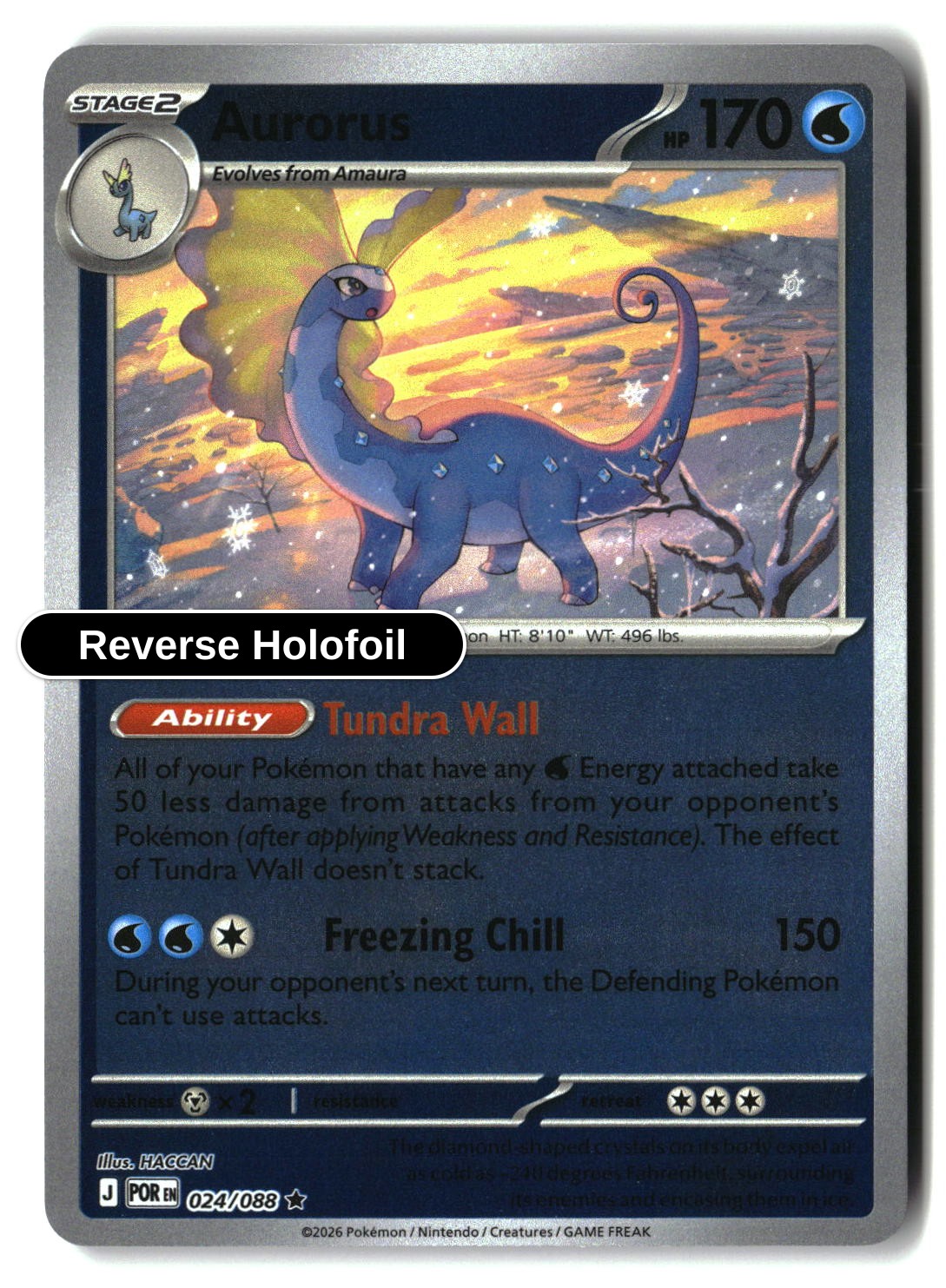 Aurorus - 024/088 - [POR - ME03: Perfect Order] - Reverse Holofoil