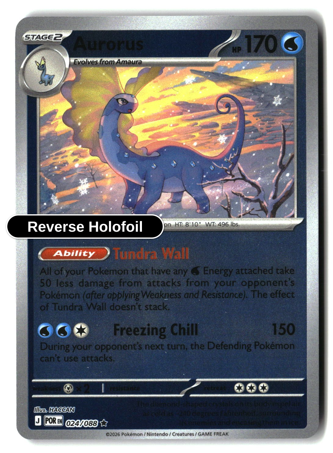 Aurorus - 024/088 - [POR - ME03: Perfect Order] - Reverse Holofoil