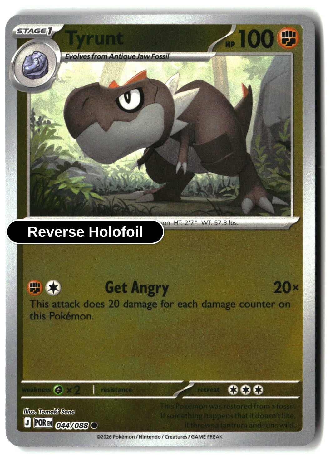 Tyrunt - 044/088 - [POR - ME03: Perfect Order] - Reverse Holofoil