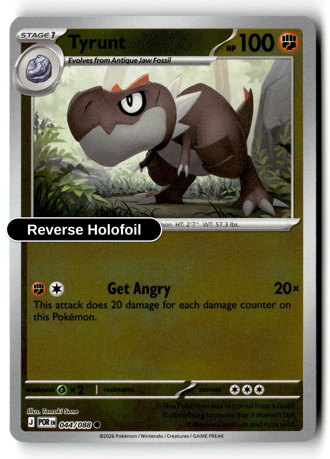 Tyrunt - 044/088 - [POR - ME03: Perfect Order] - Reverse Holofoil