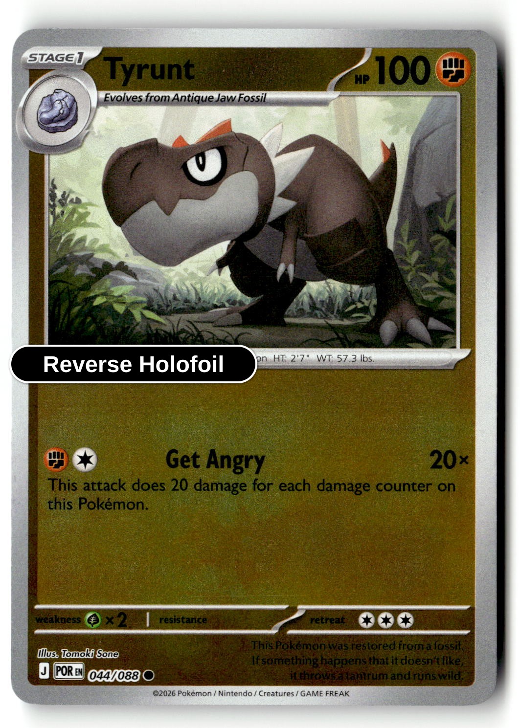 Tyrunt - 044/088 - [POR - ME03: Perfect Order] - Reverse Holofoil