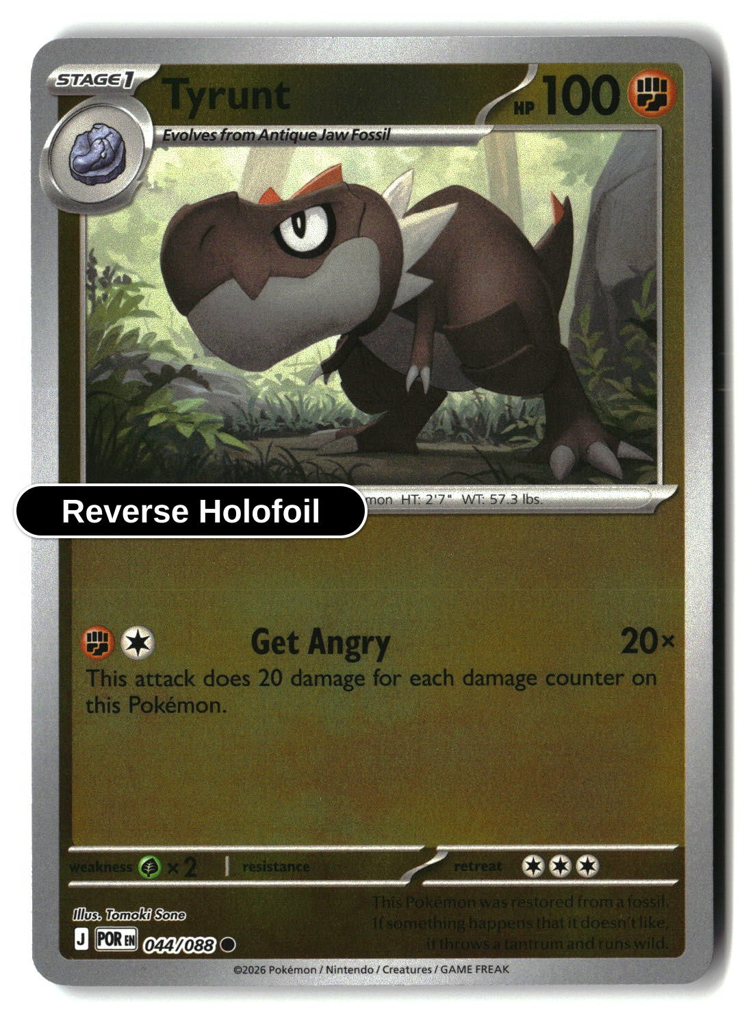 Tyrunt - 044/088 - [POR - ME03: Perfect Order] - Reverse Holofoil