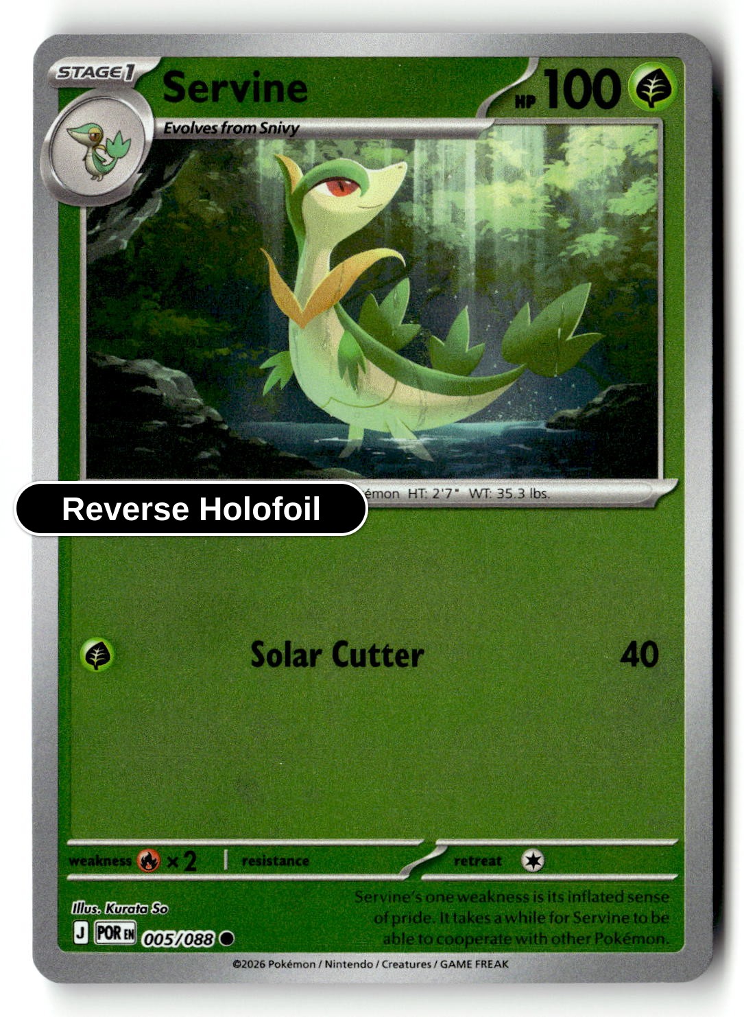 Servine - 005/088 - [POR - ME03: Perfect Order] - Reverse Holofoil