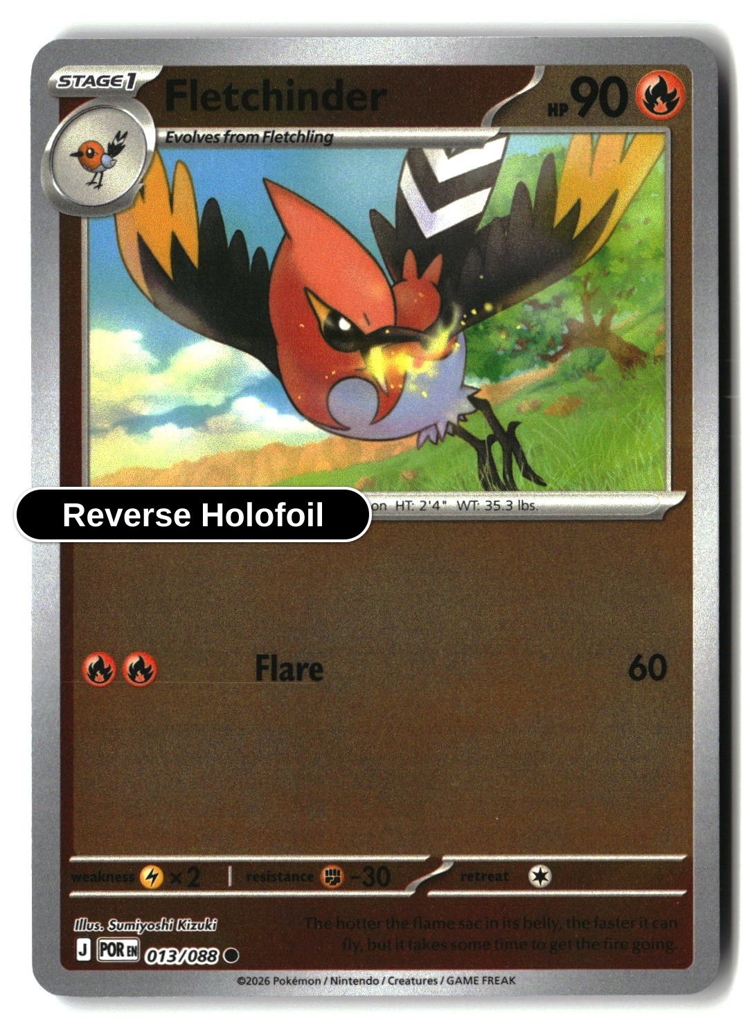 Fletchinder - 013/088 - [POR - ME03: Perfect Order] - Reverse Holofoil