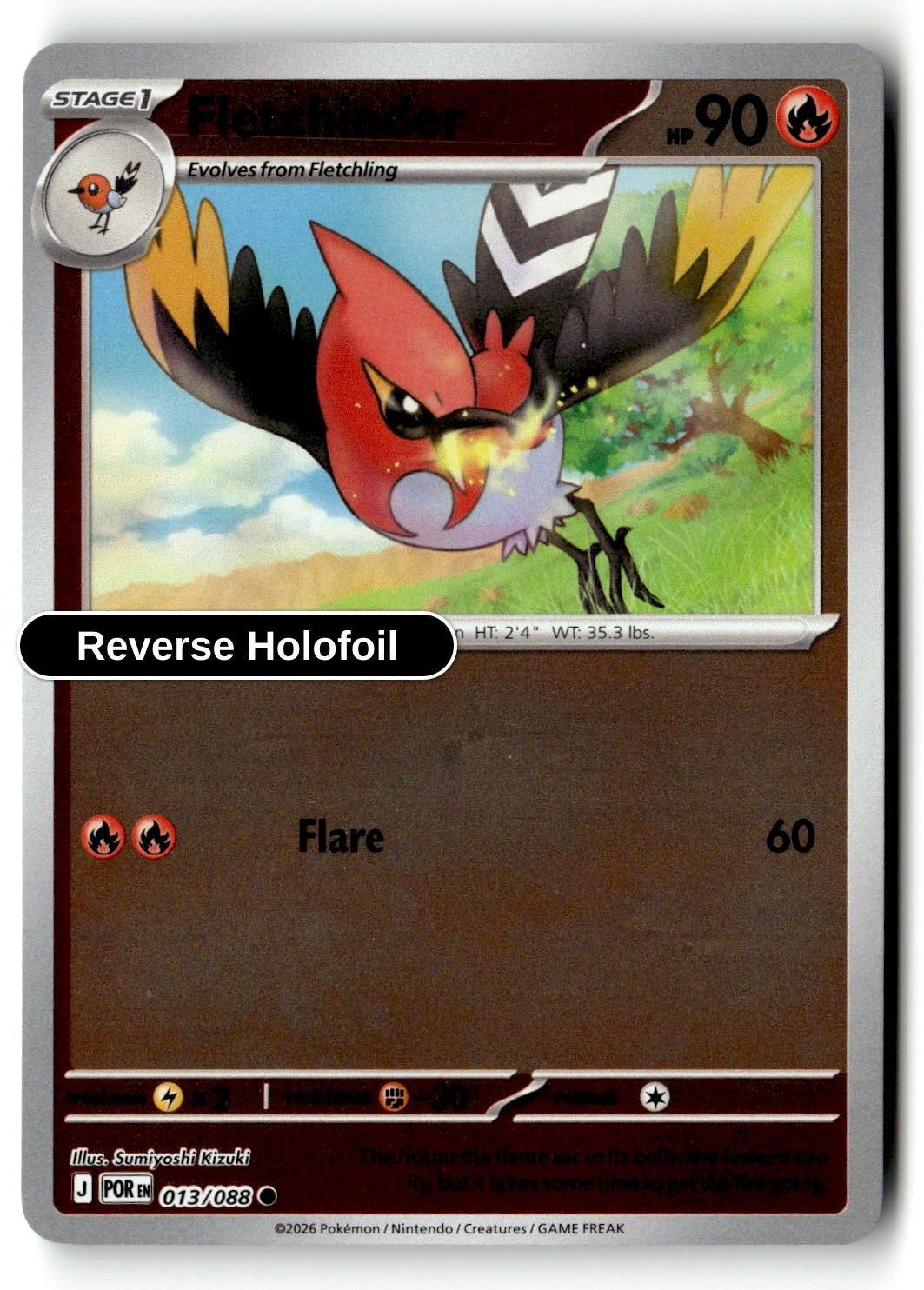 Fletchinder - 013/088 - [POR - ME03: Perfect Order] - Reverse Holofoil