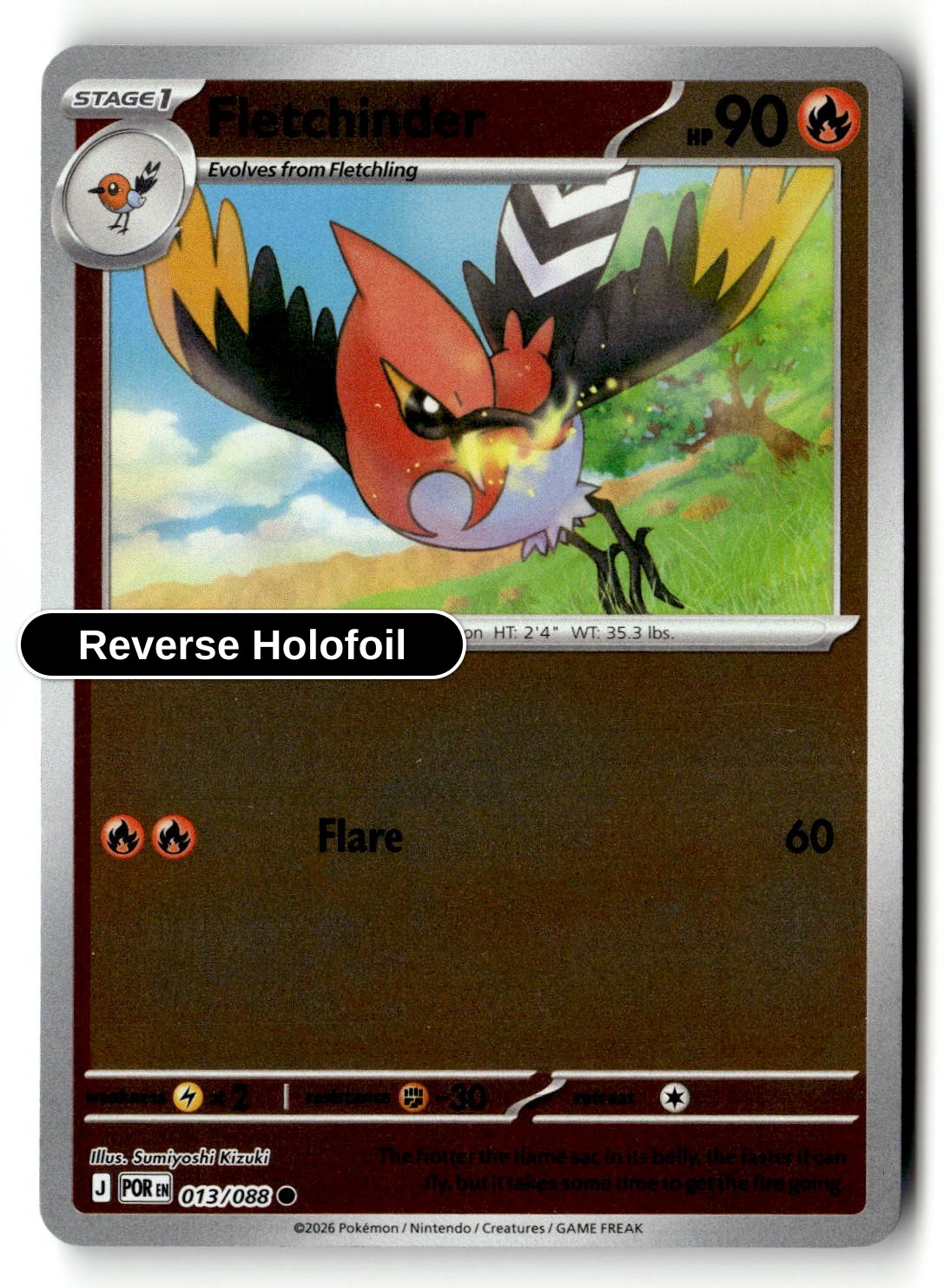 Fletchinder - 013/088 - [POR - ME03: Perfect Order] - Reverse Holofoil