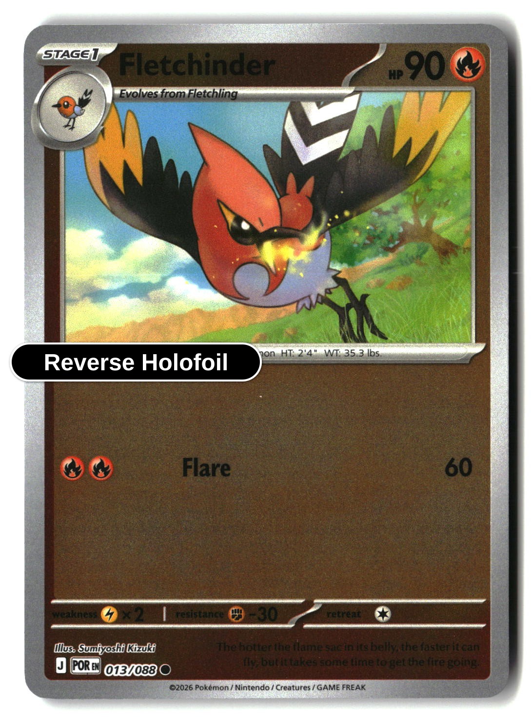 Fletchinder - 013/088 - [POR - ME03: Perfect Order] - Reverse Holofoil