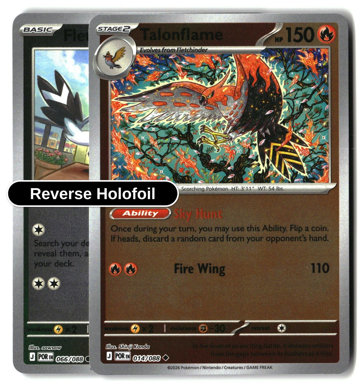 Talonflame - 014/088 - [POR - ME03: Perfect Order] - Reverse Holofoil