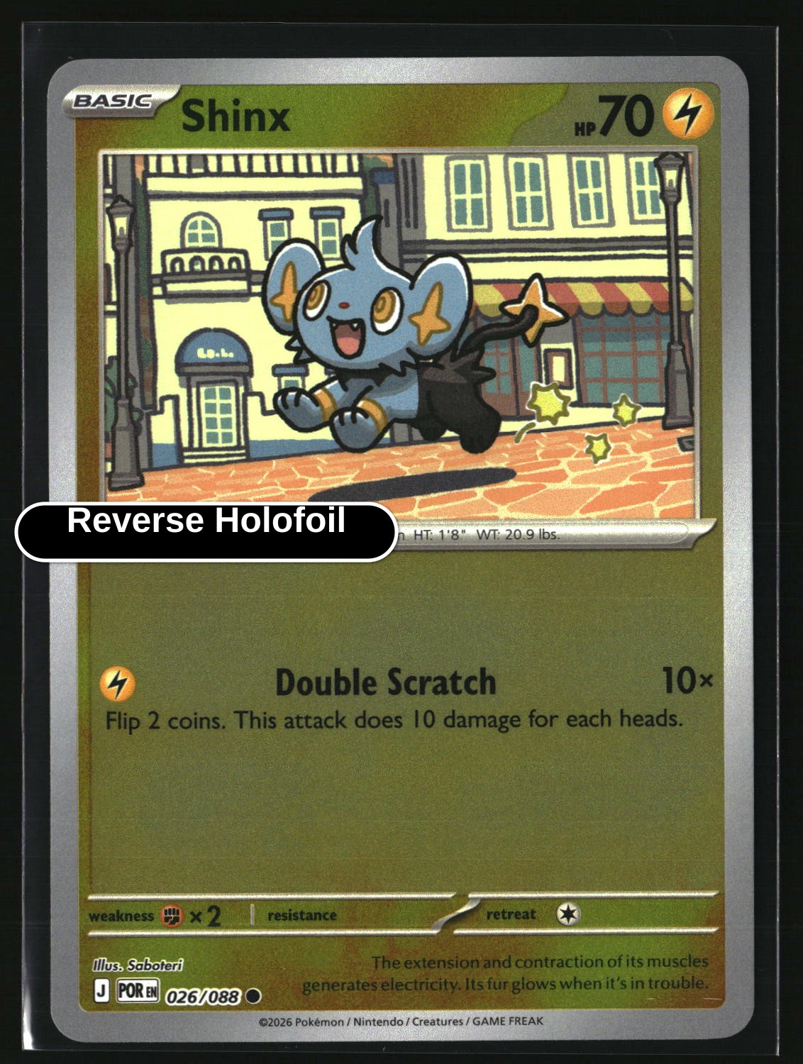 Shinx