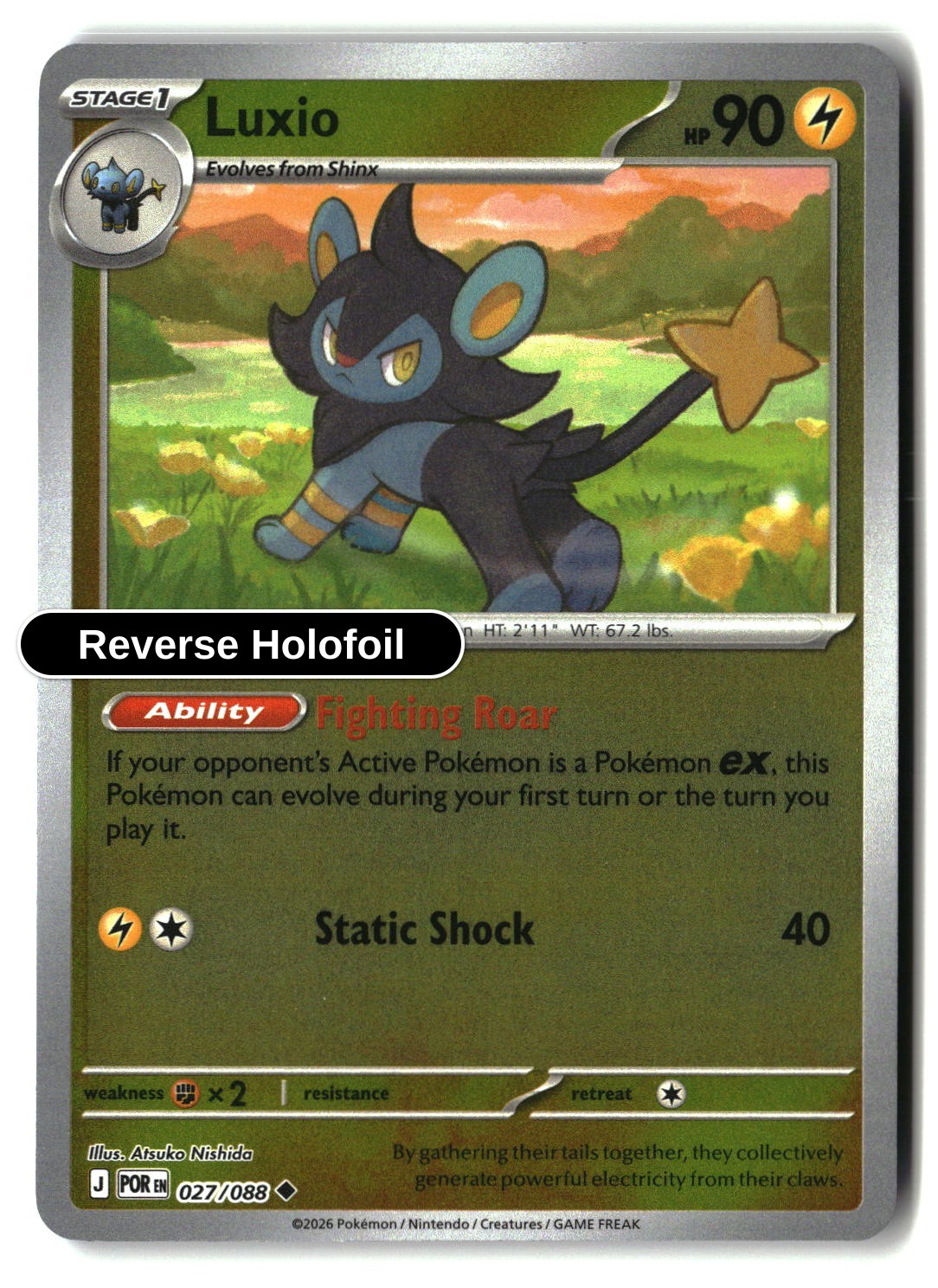Luxio - 027/088 - [POR - ME03: Perfect Order] - Reverse Holofoil