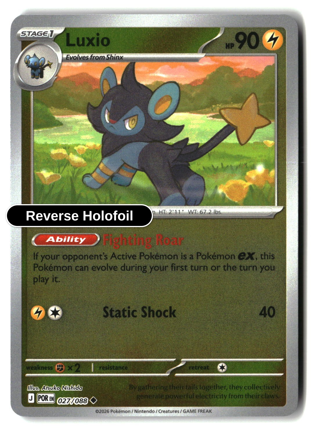 Luxio - 027/088 - [POR - ME03: Perfect Order] - Reverse Holofoil