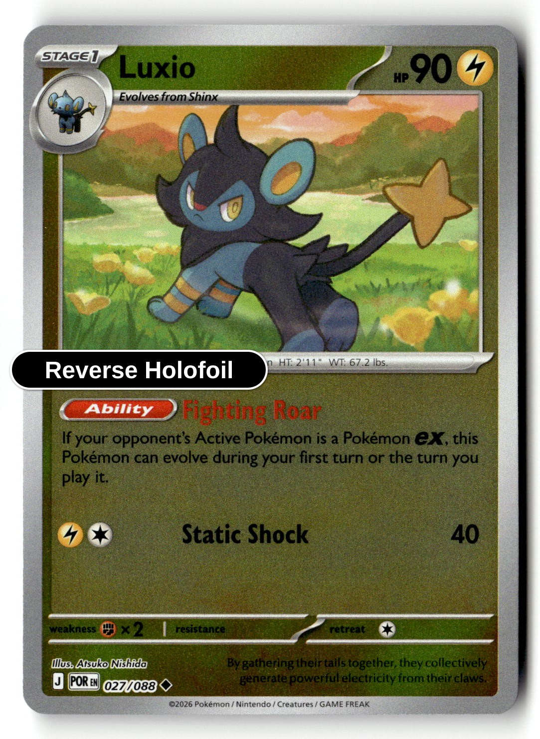 Luxio - 027/088 - [POR - ME03: Perfect Order] - Reverse Holofoil