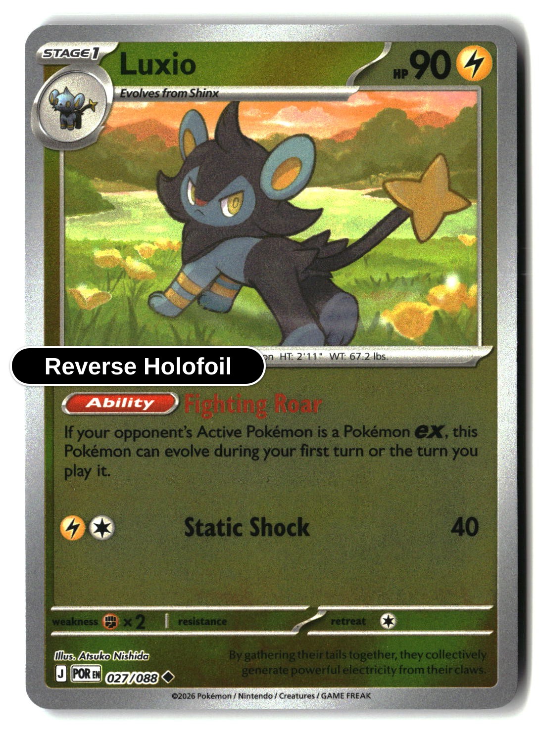 Luxio - 027/088 - [POR - ME03: Perfect Order] - Reverse Holofoil