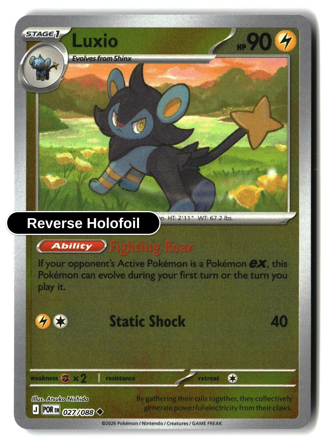 Luxio - 027/088 - [POR - ME03: Perfect Order] - Reverse Holofoil