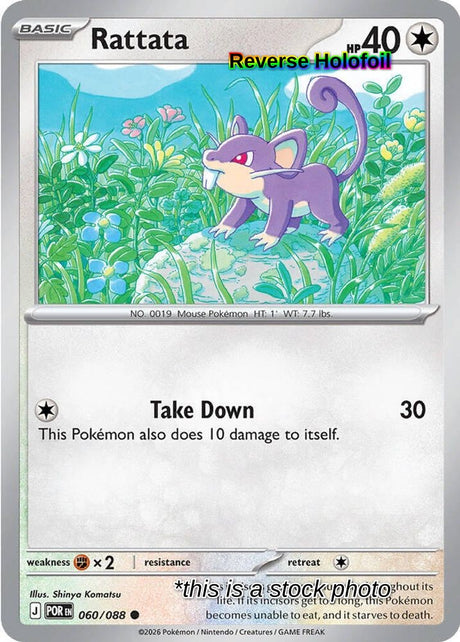 Rattata