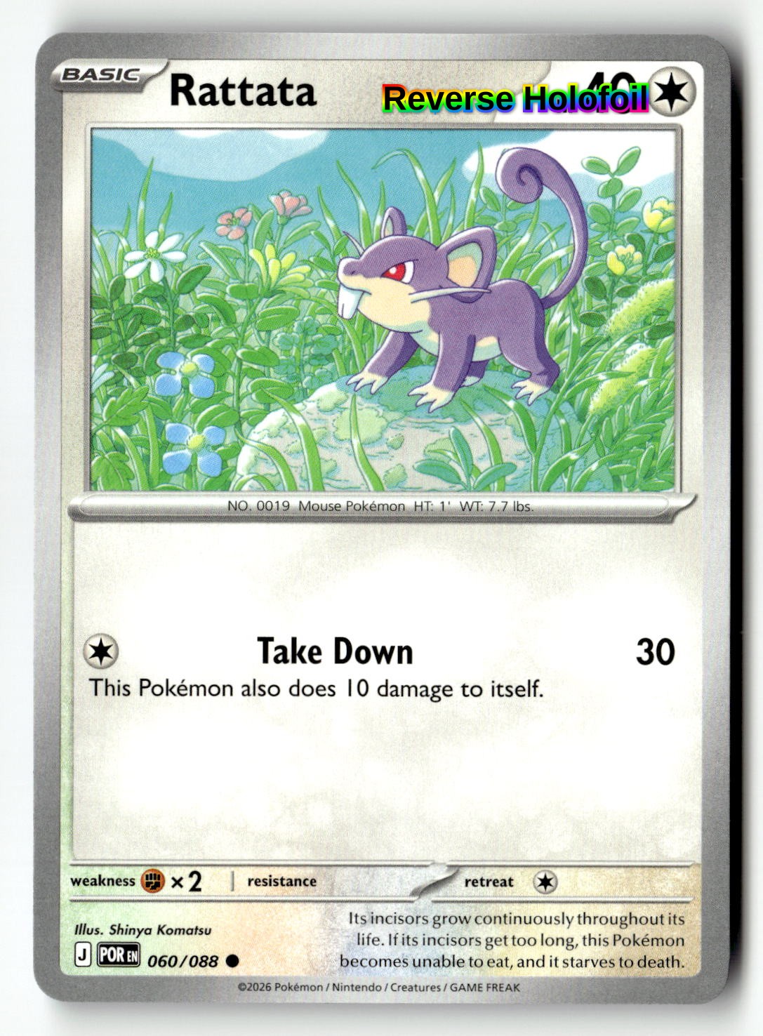 Rattata