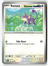 Rattata