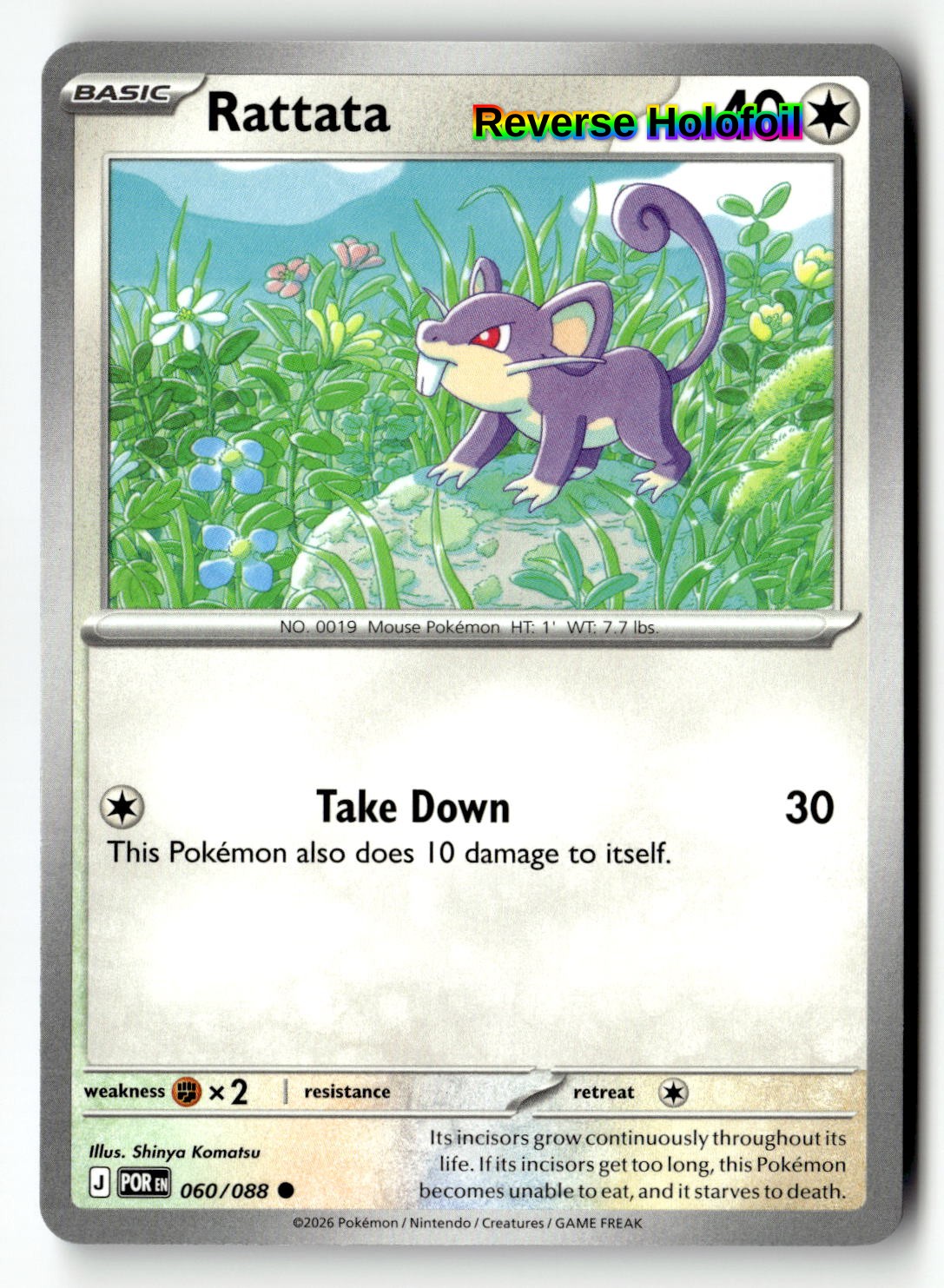Rattata