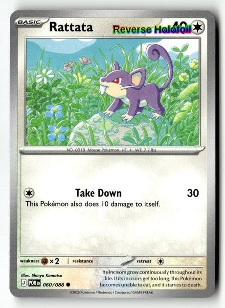 Rattata