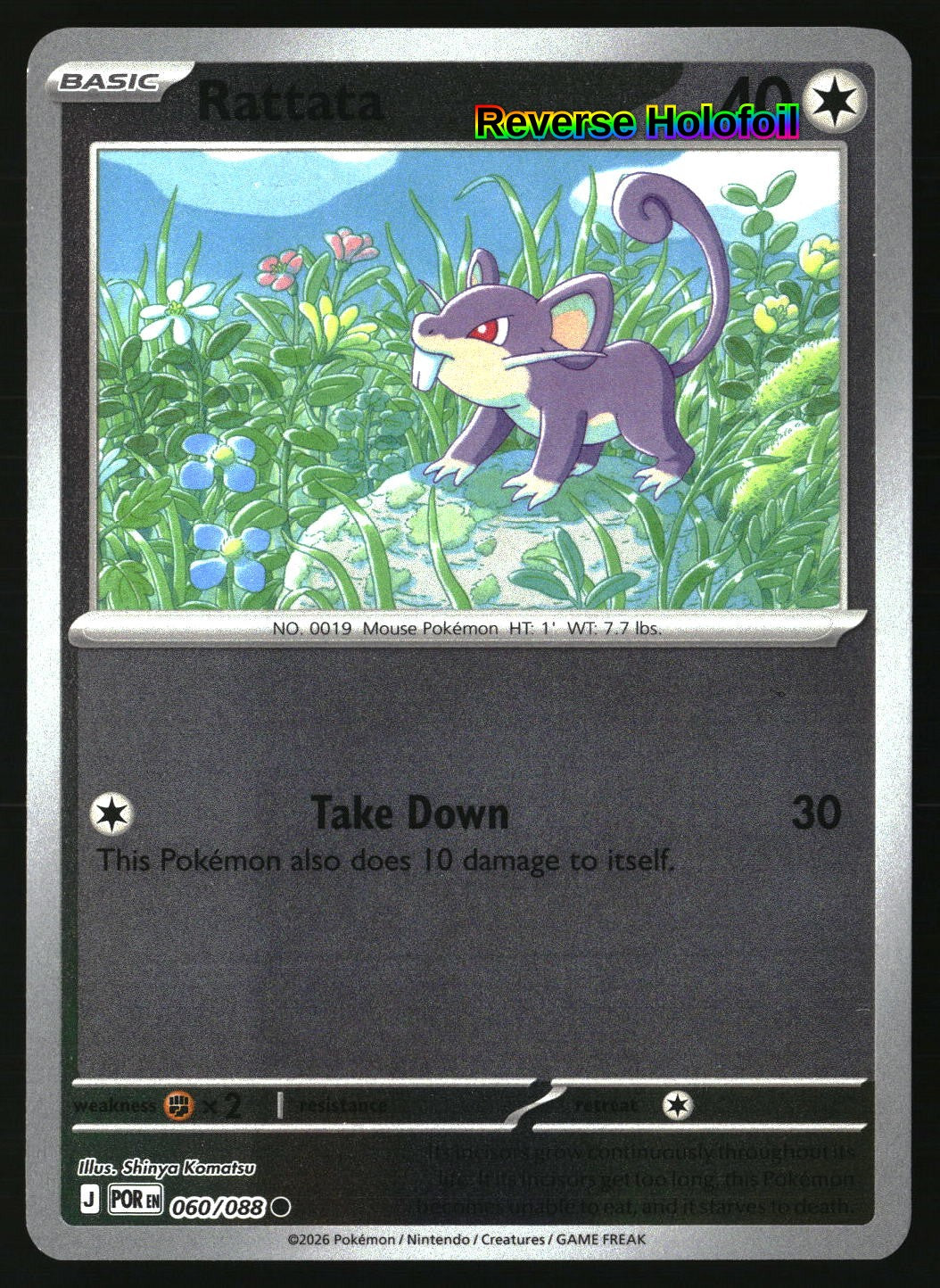 Rattata