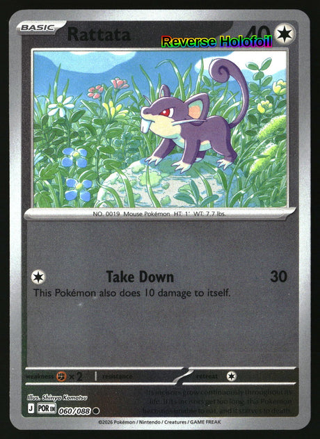 Rattata
